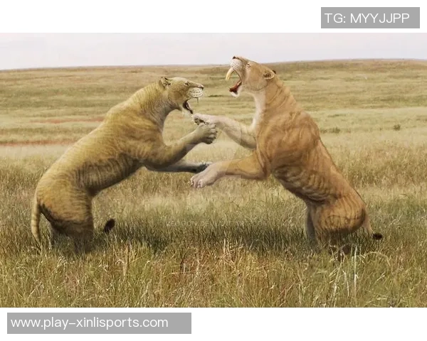 西班牙与塞尔维亚激战正酣谁将赢得这场精彩对决 西班牙与塞尔维亚激战正酣谁将赢得这场精彩对决